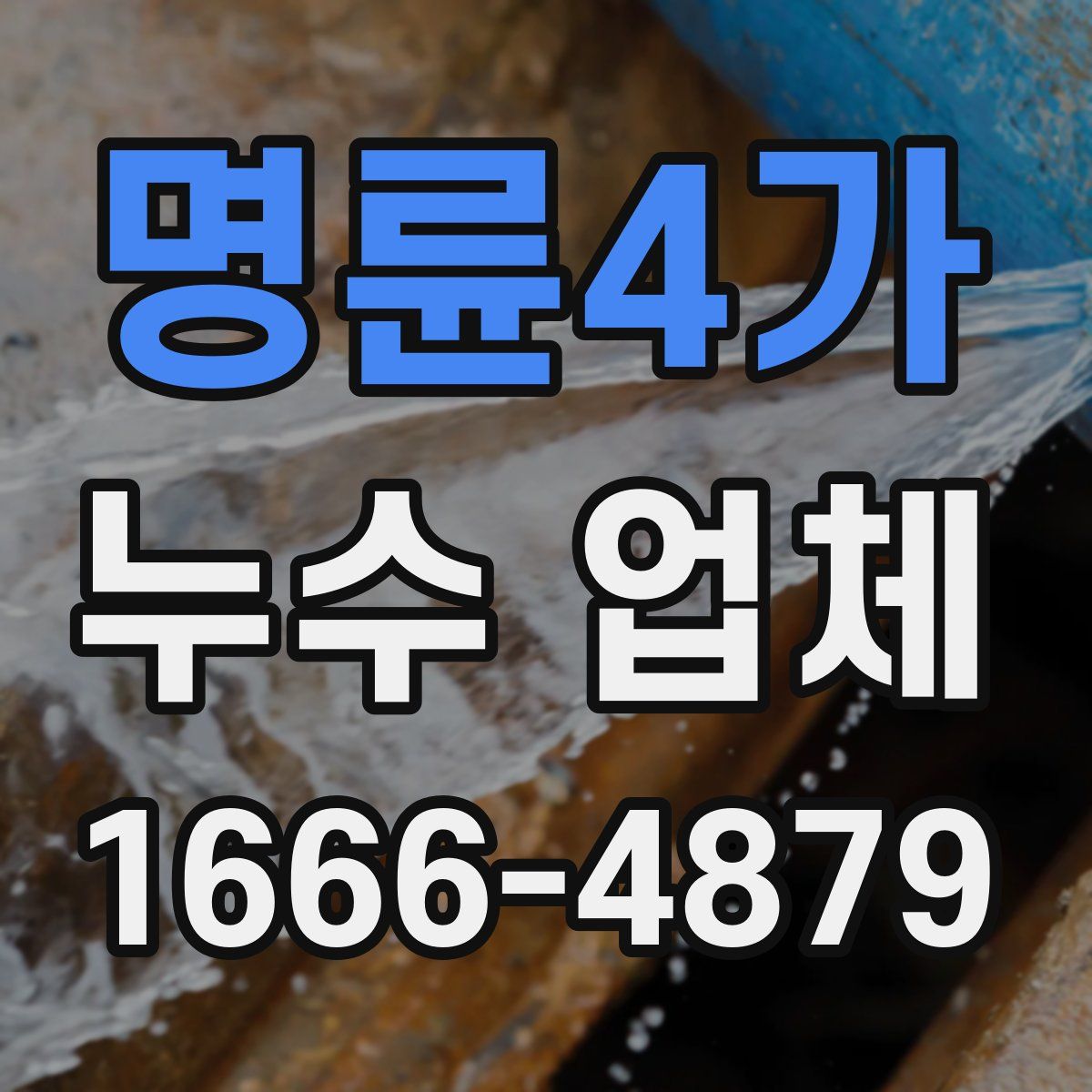 명륜4가 누수 업체