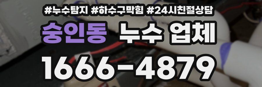 숭인동 누수 업체