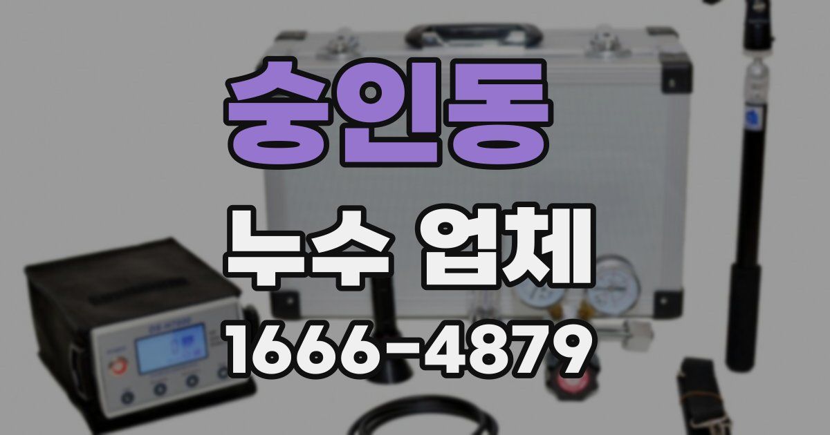 숭인동 누수 업체