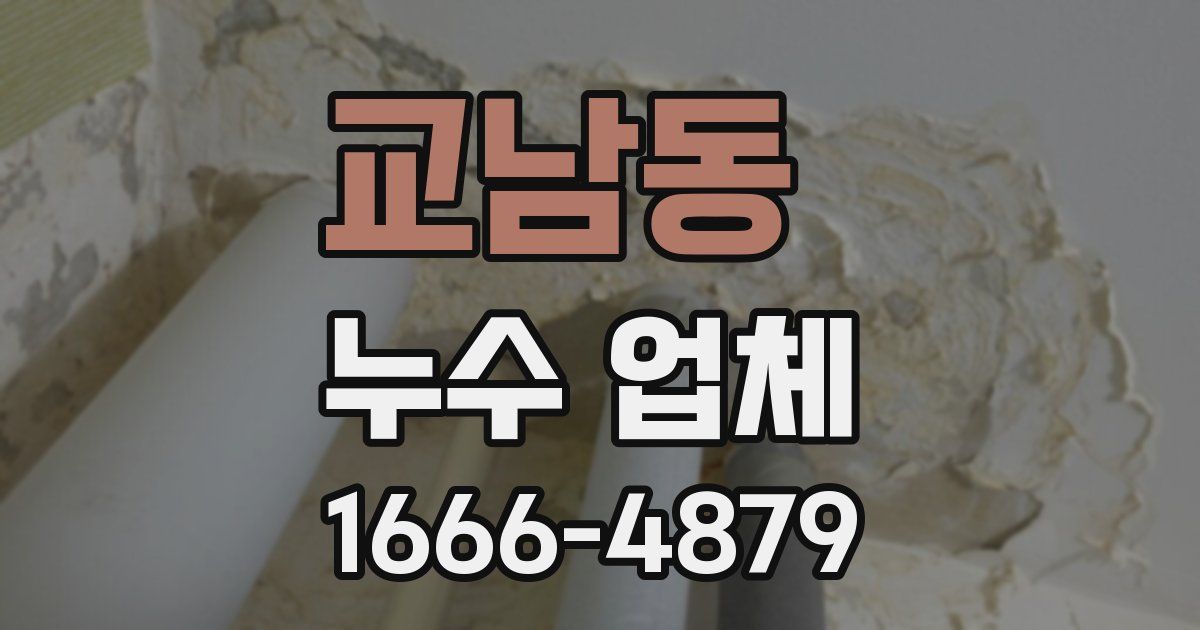 교남동 누수 업체
