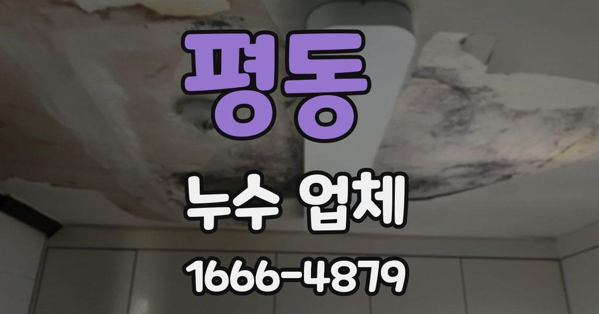 평동 누수 업체