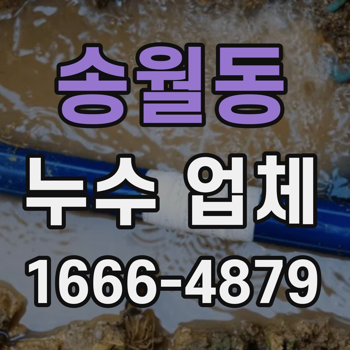 송월동 누수 업체