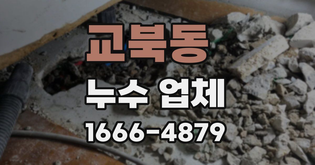 교북동 누수 업체