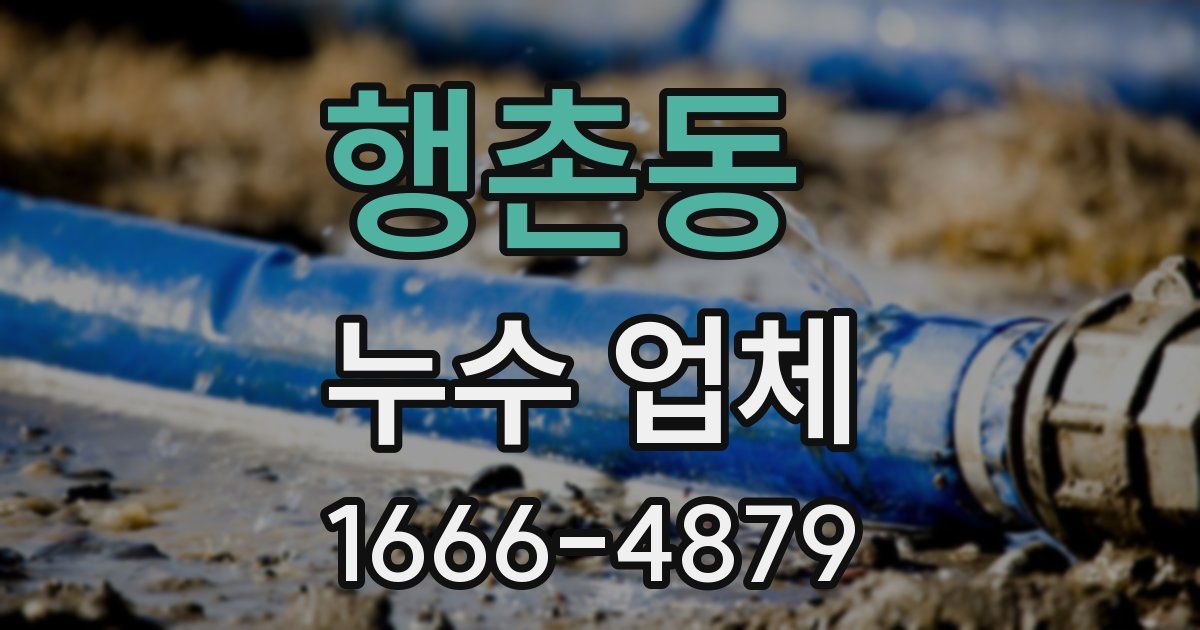 행촌동 누수 업체