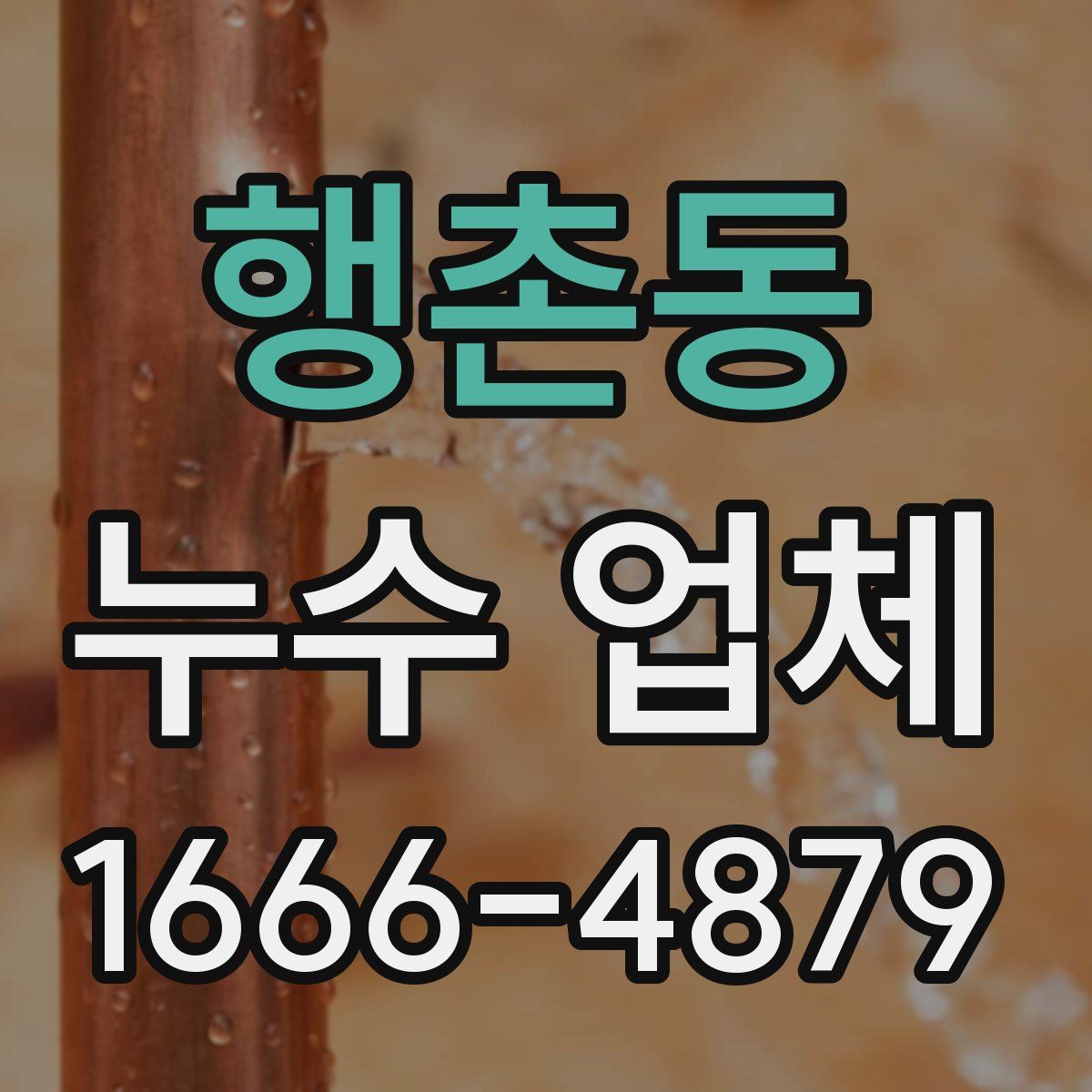 행촌동 누수 업체