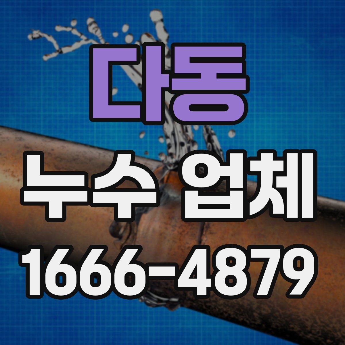 다동 누수 업체