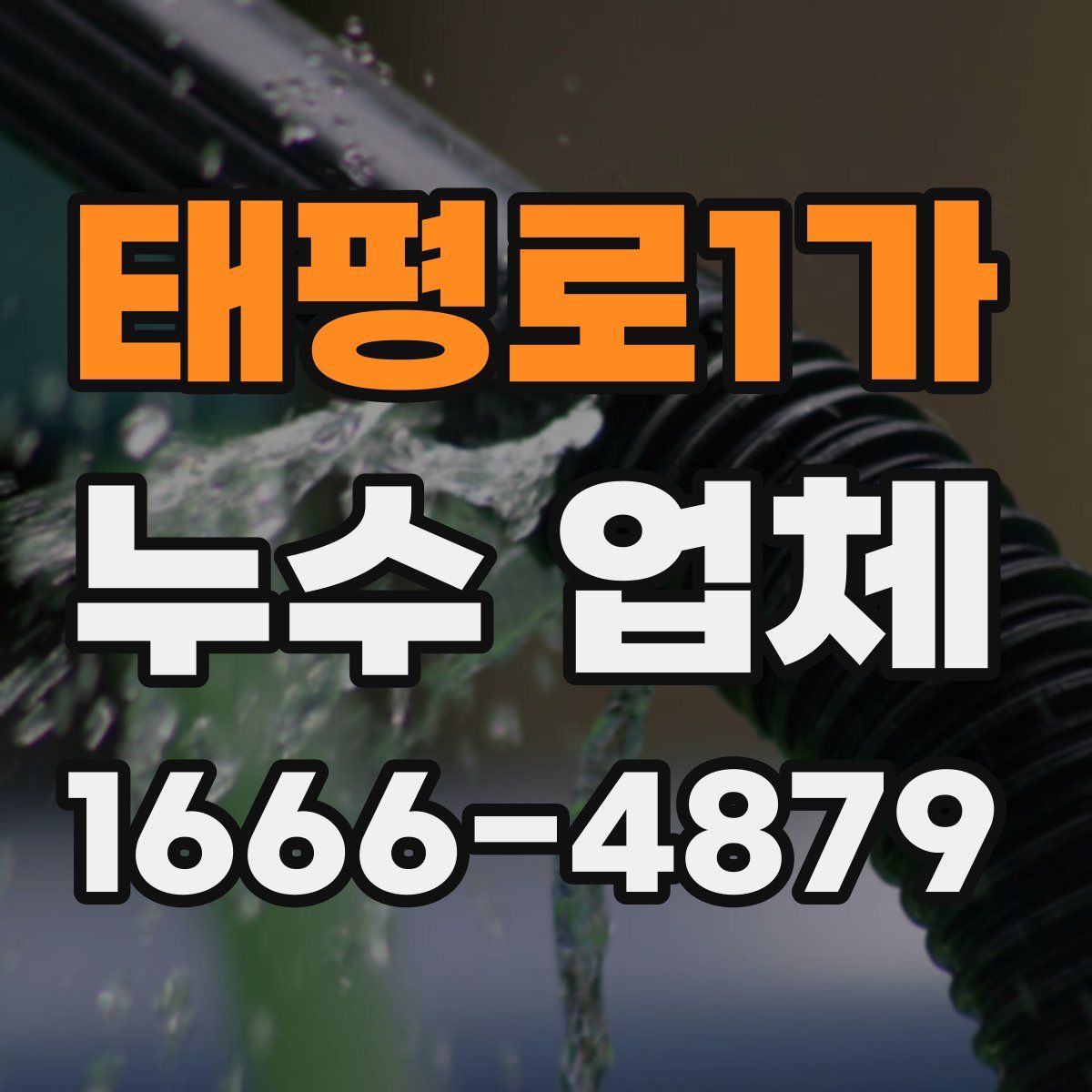 태평로1가 누수 업체