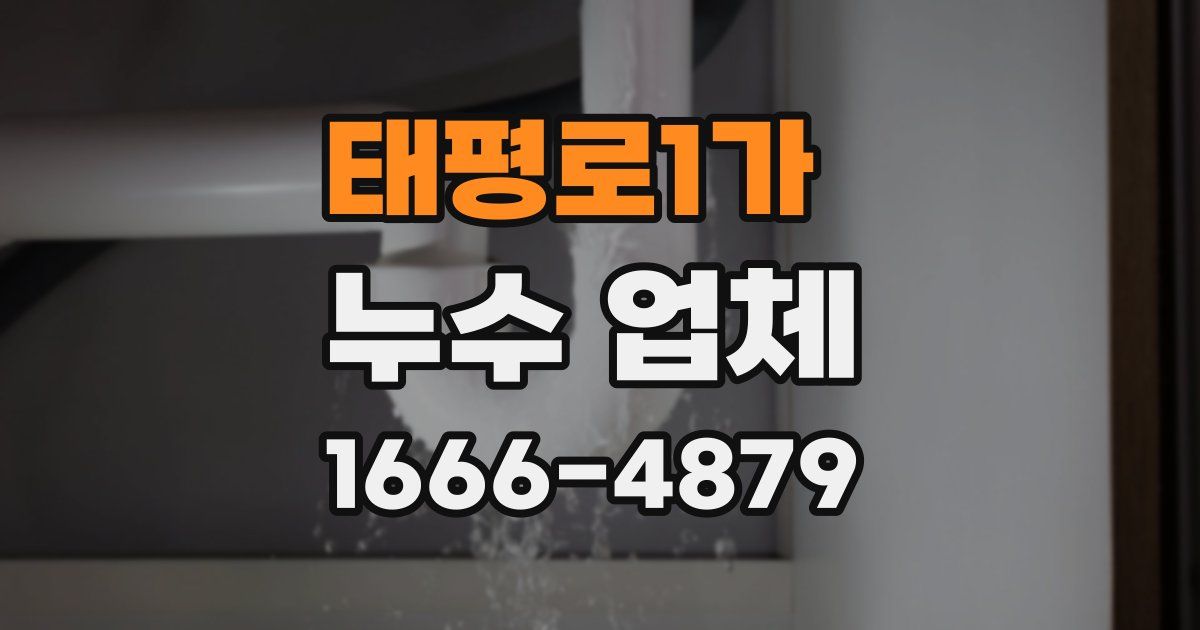 태평로1가 누수 업체