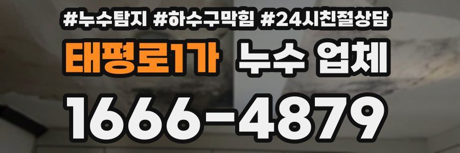 태평로1가 누수 업체