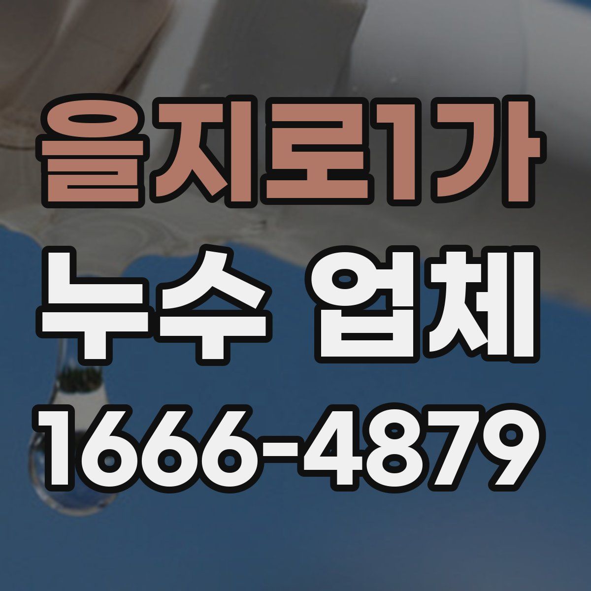 을지로1가 누수 업체