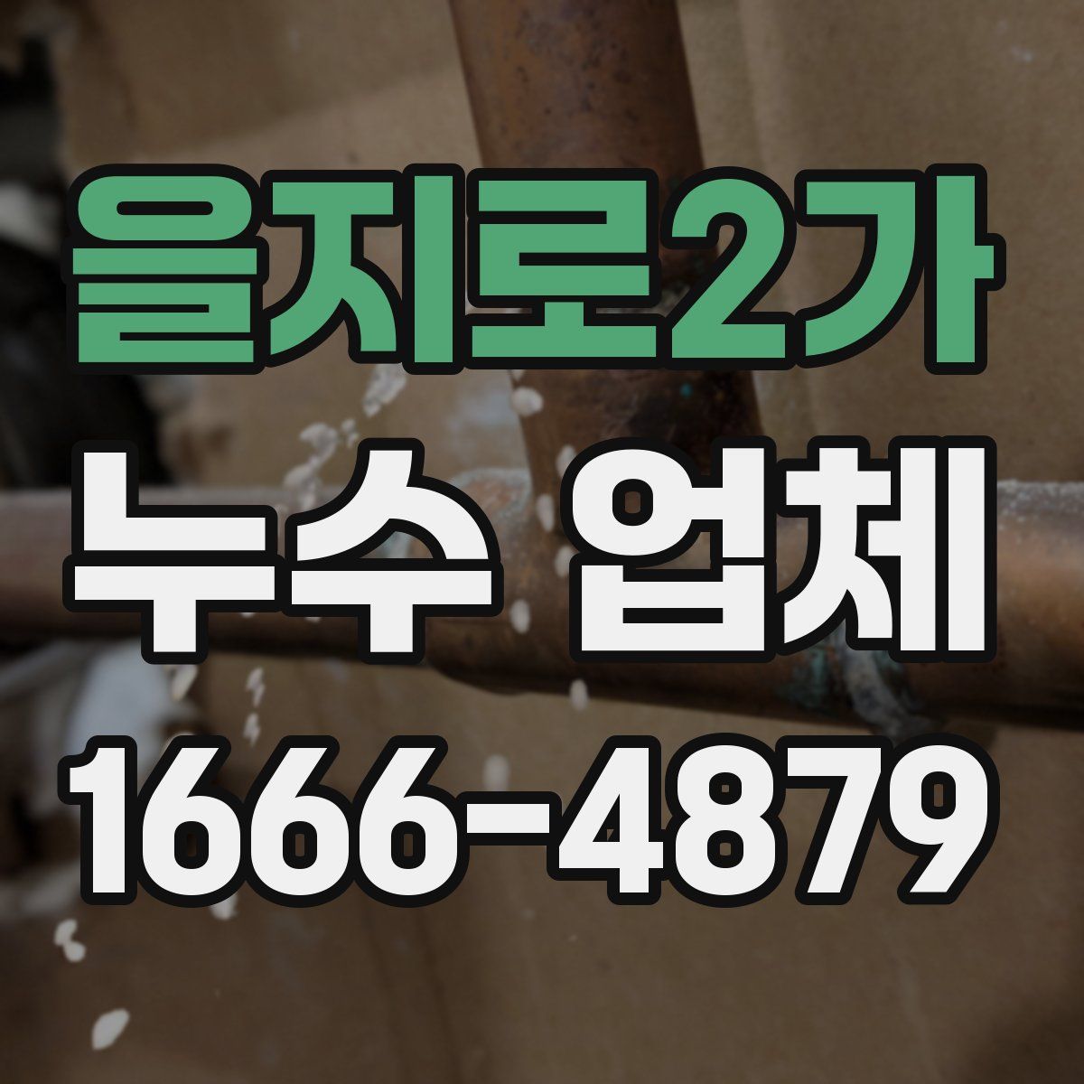 을지로2가 누수 업체