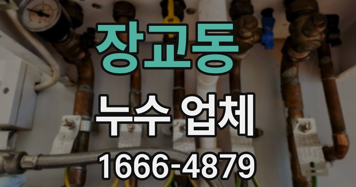 장교동 누수 업체