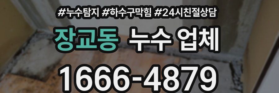 장교동 누수 업체