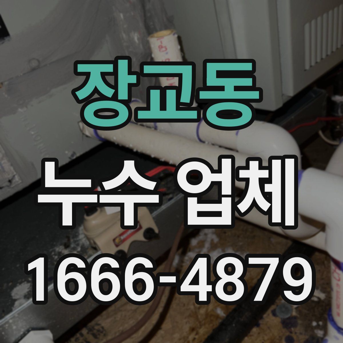 장교동 누수 업체