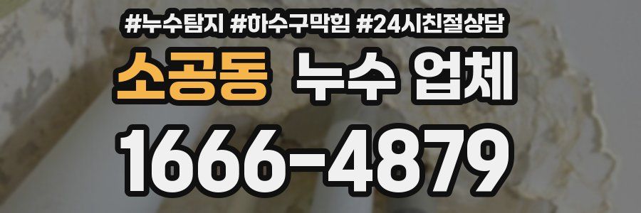 소공동 누수 업체