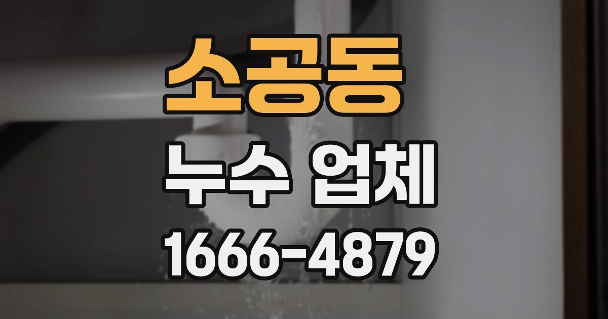 소공동 누수 업체
