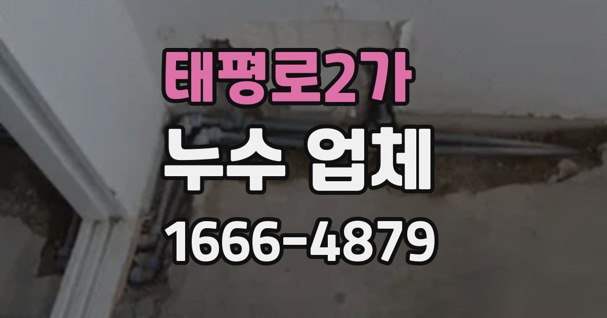 태평로2가 누수 업체