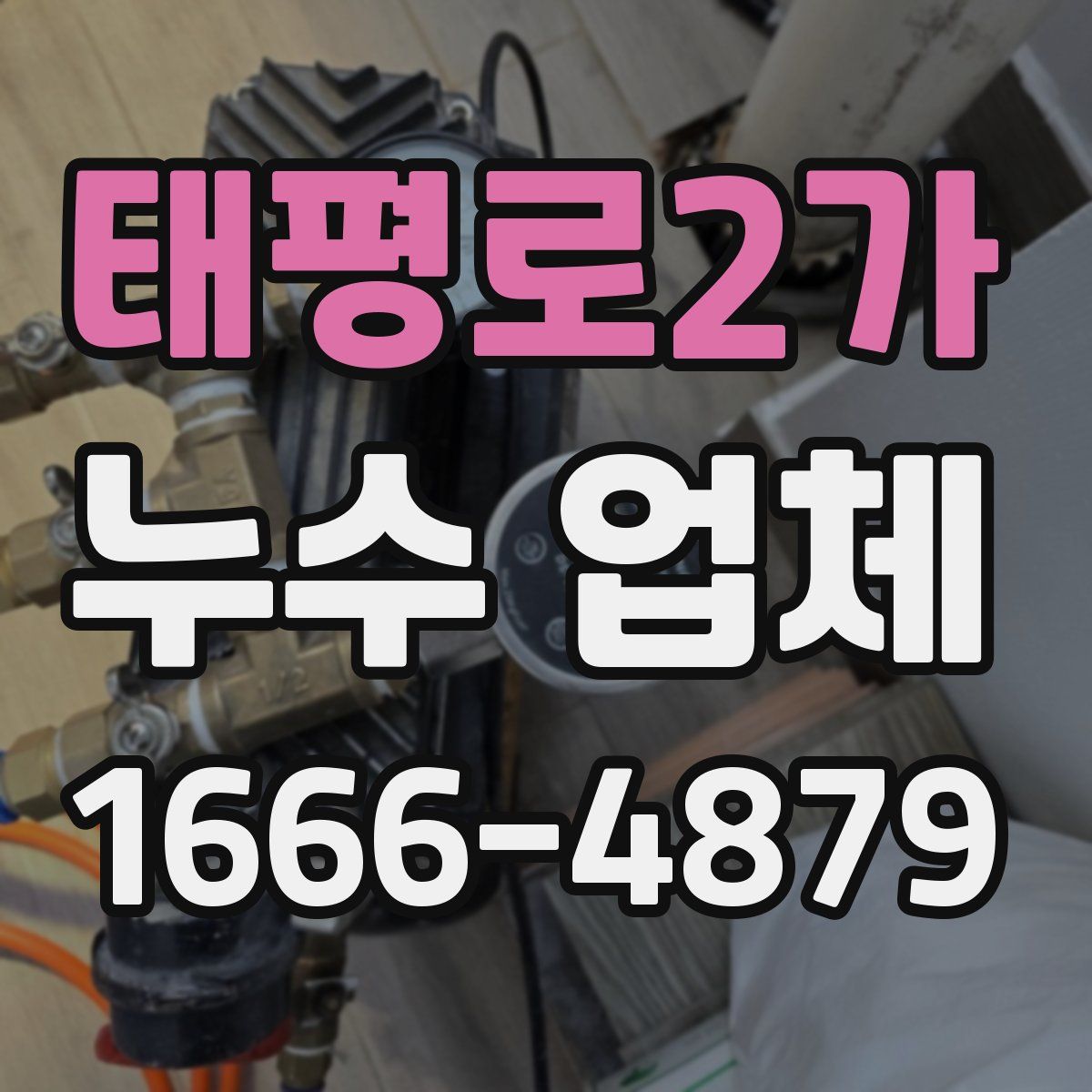 태평로2가 누수 업체