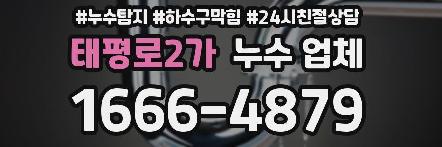 태평로2가 누수 업체