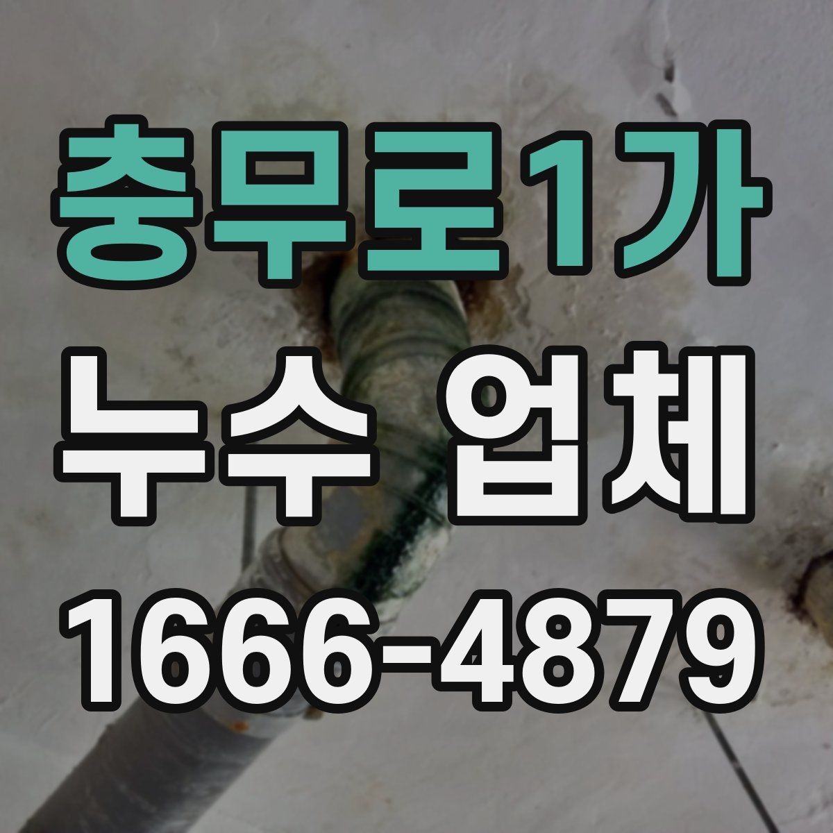 충무로1가 누수 업체
