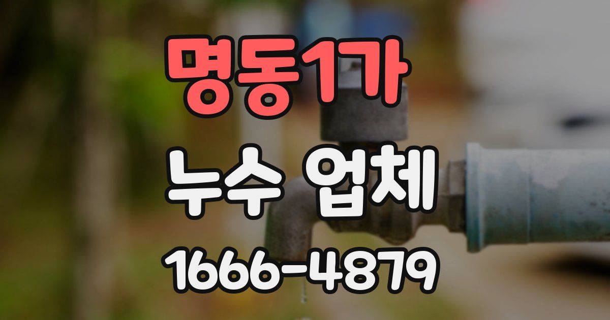 명동1가 누수 업체