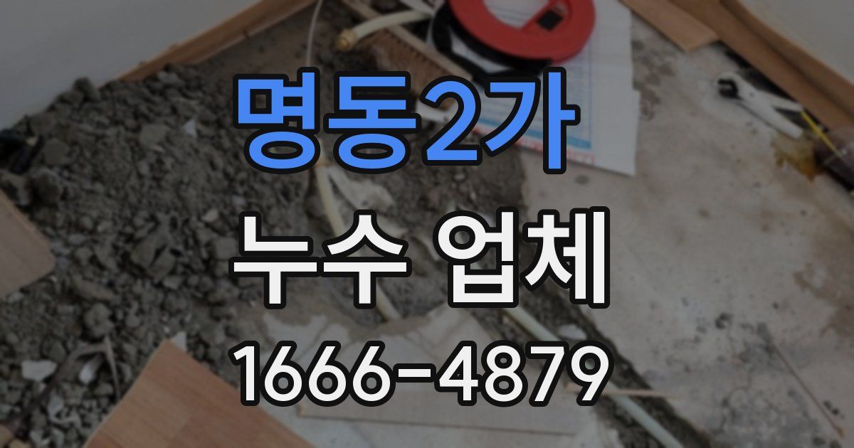 명동2가 누수 업체