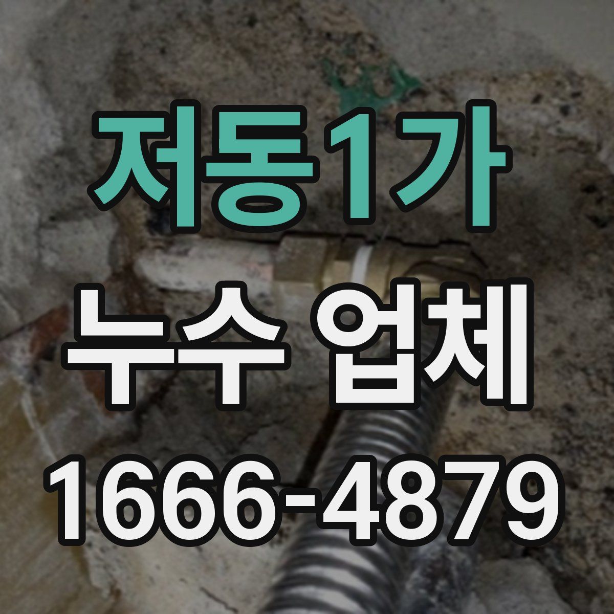 저동1가 누수 업체