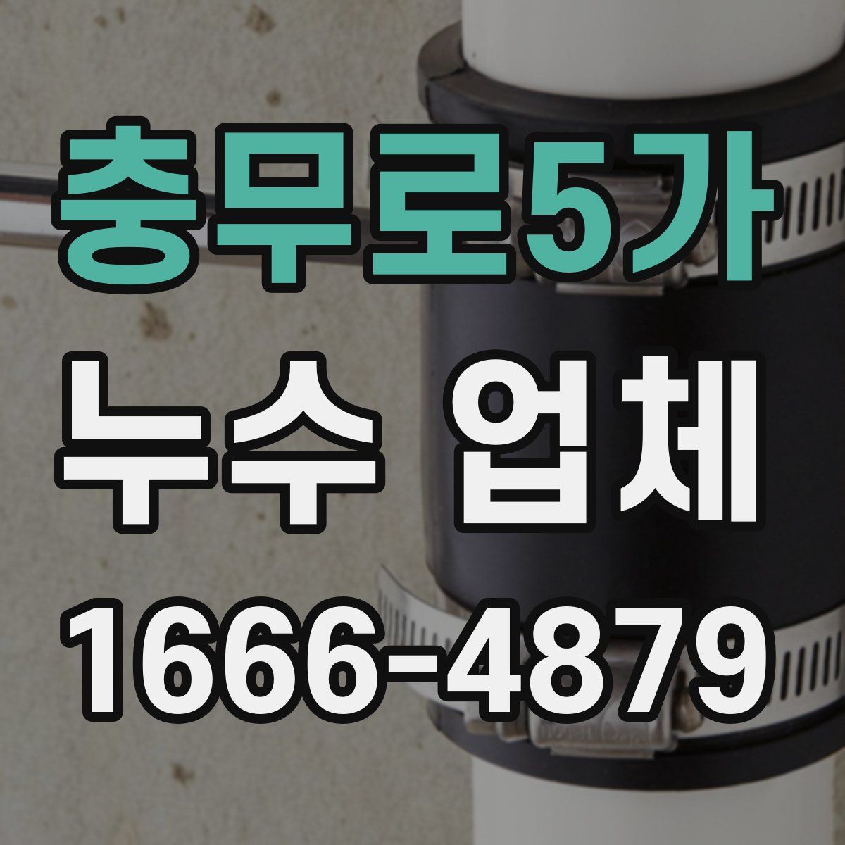 충무로5가 누수 업체