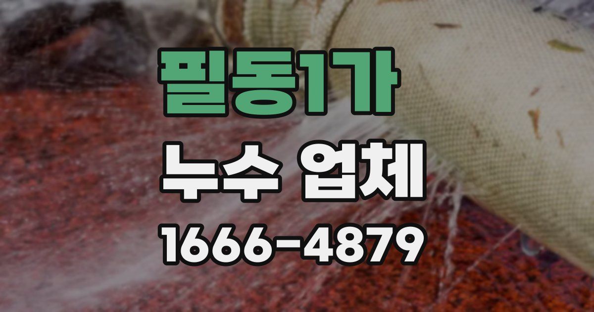 필동1가 누수 업체