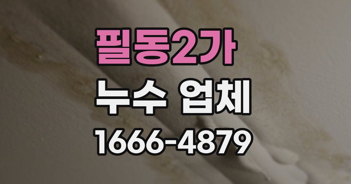 필동2가 누수 업체