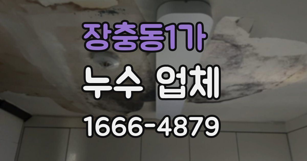 장충동1가 누수 업체