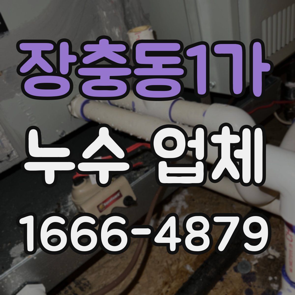 장충동1가 누수 업체