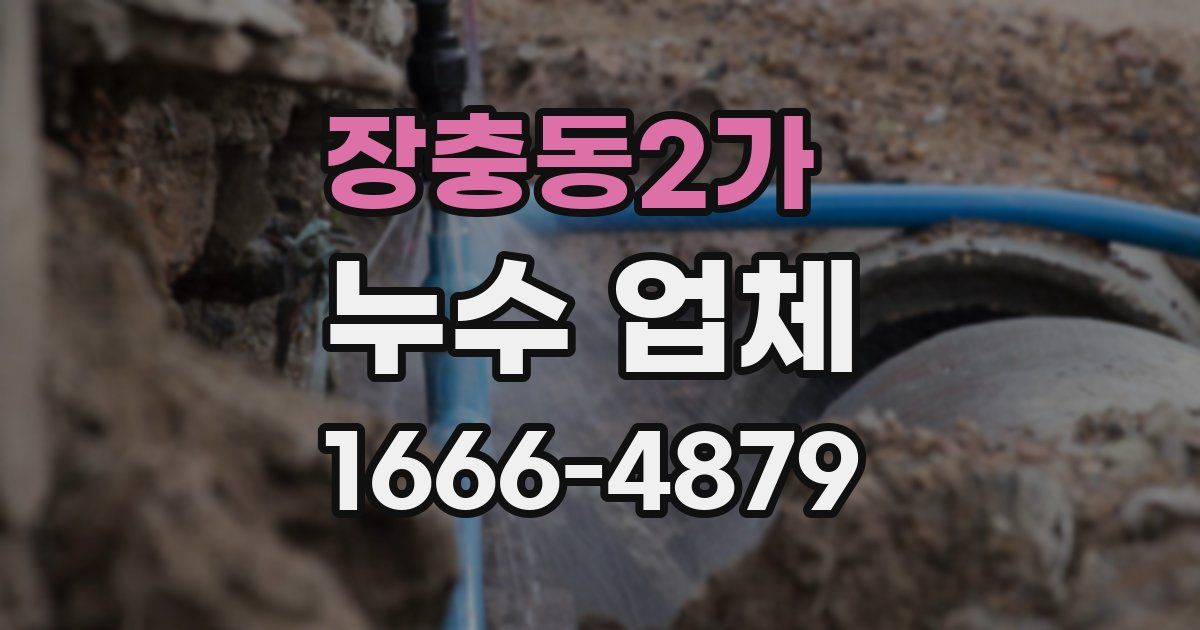 장충동2가 누수 업체