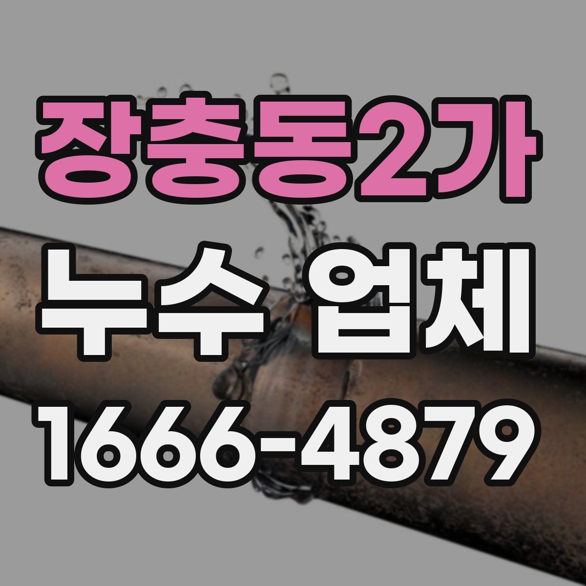 장충동2가 누수 업체