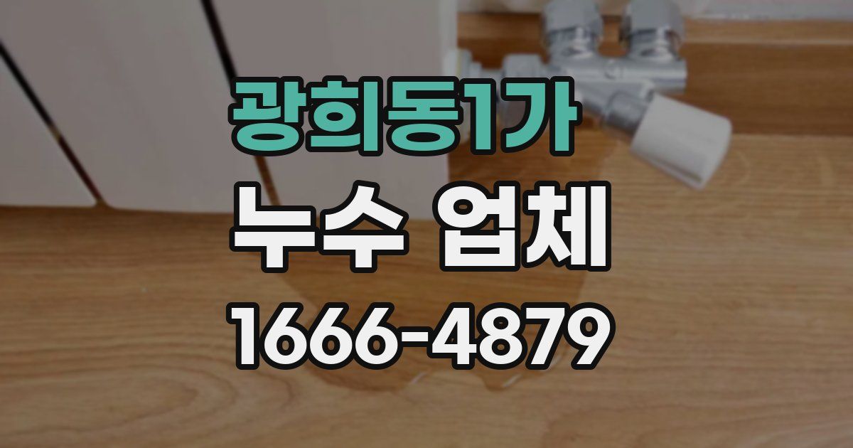 광희동1가 누수 업체
