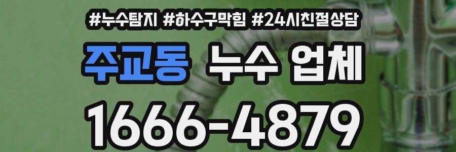 주교동 누수 업체