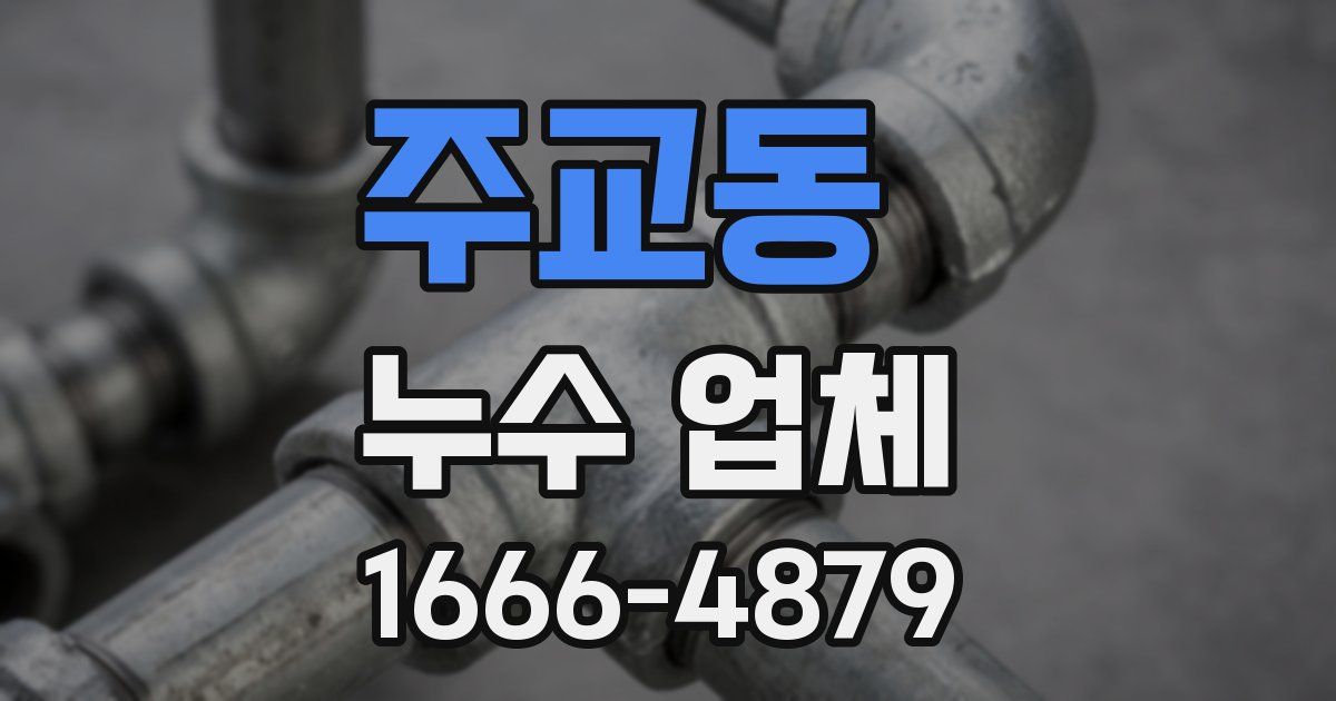 주교동 누수 업체
