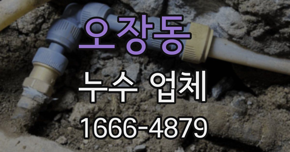 오장동 누수 업체