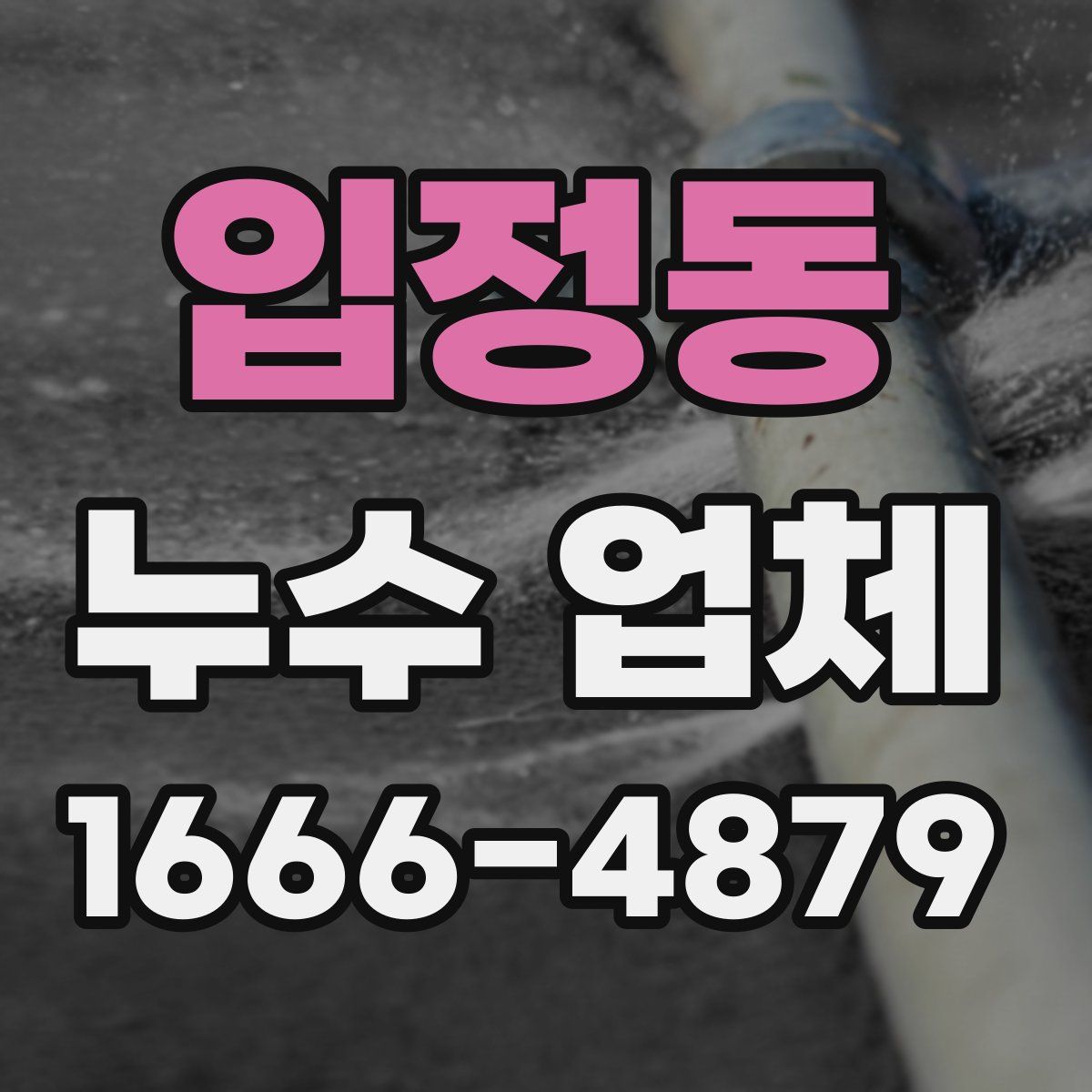 입정동 누수 업체