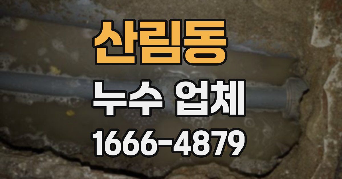 산림동 누수 업체