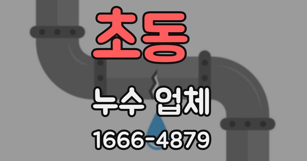 초동 누수 업체