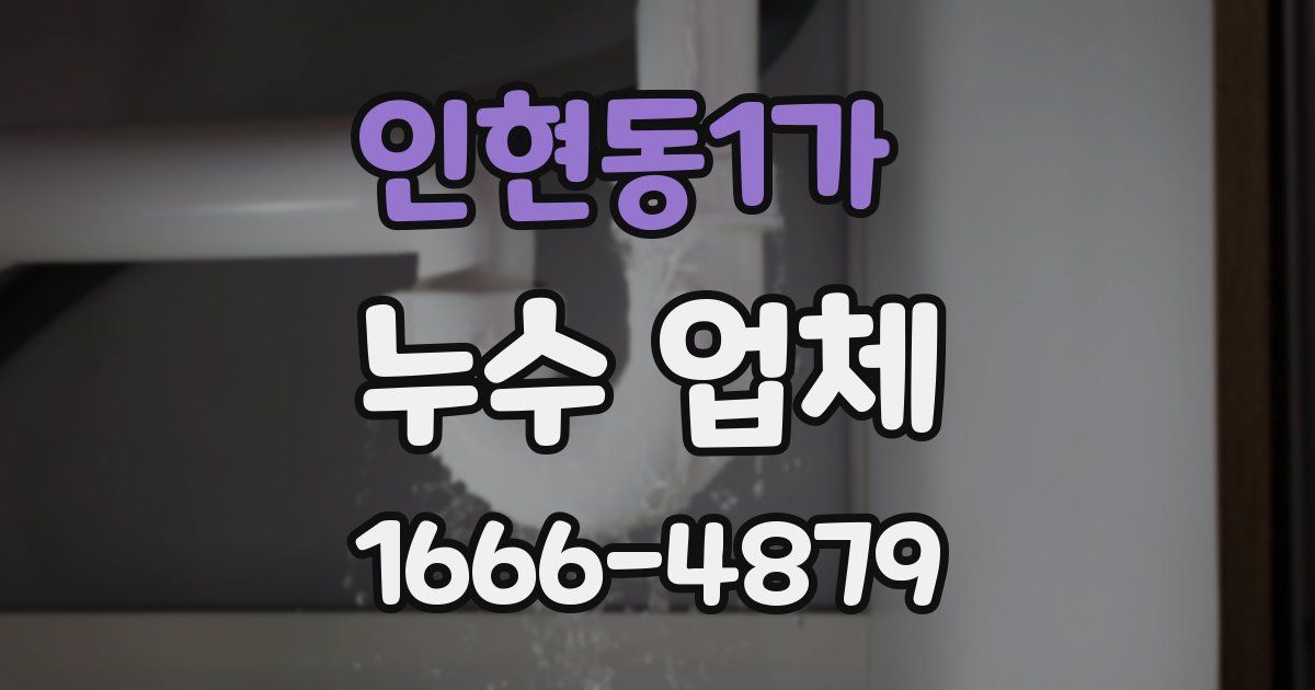 인현동1가 누수 업체