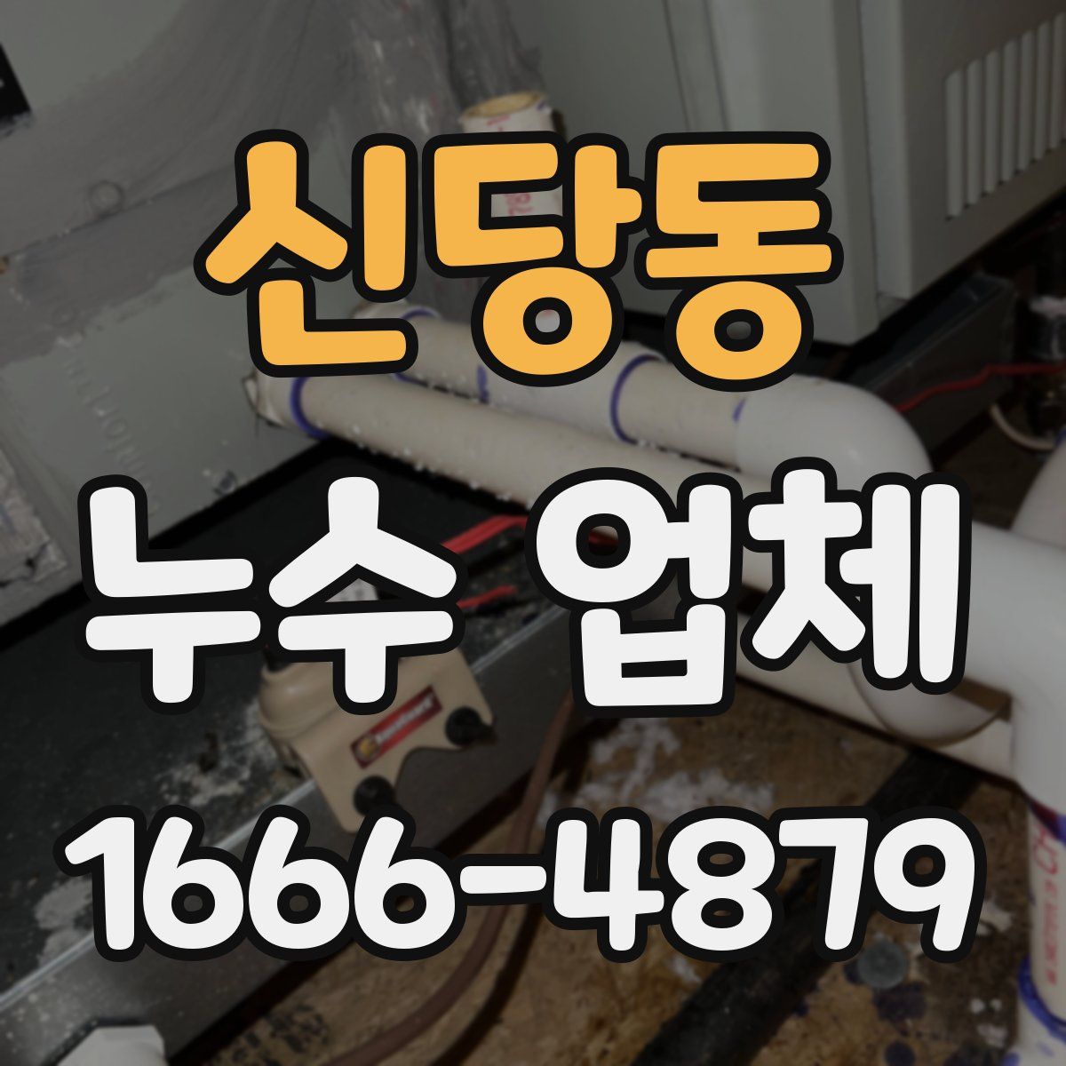 신당동 누수 업체