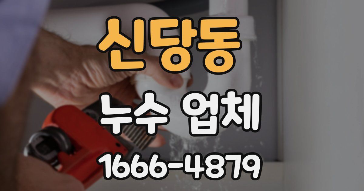 신당동 누수 업체