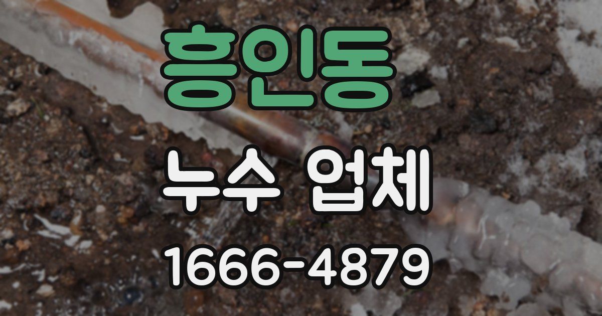 흥인동 누수 업체
