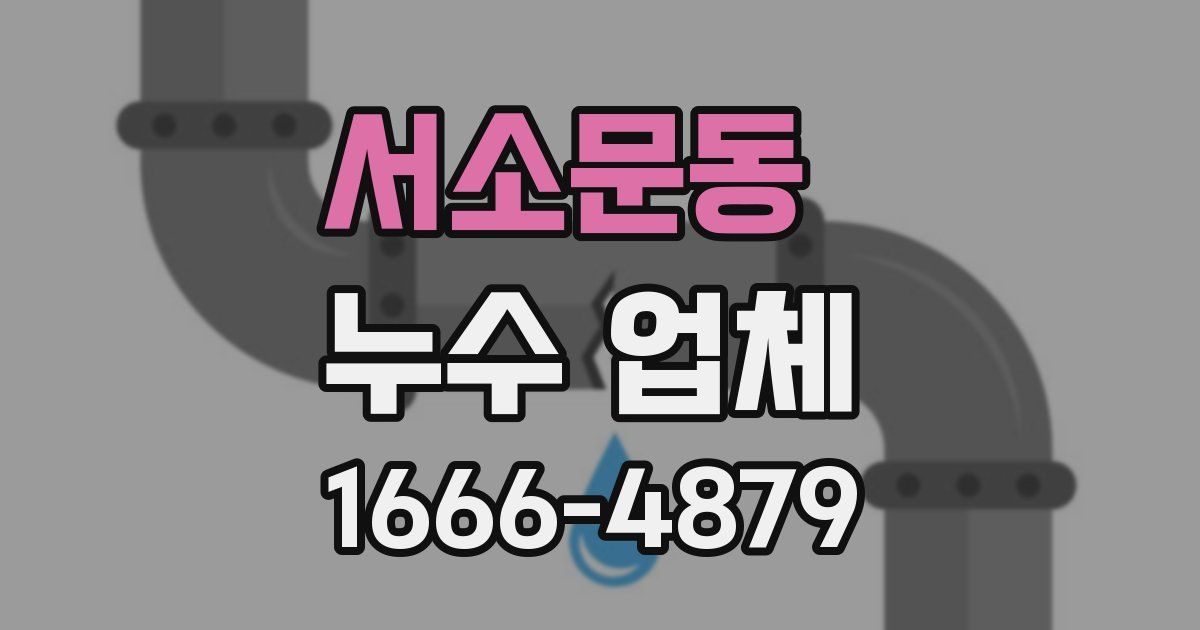 서소문동 누수 업체