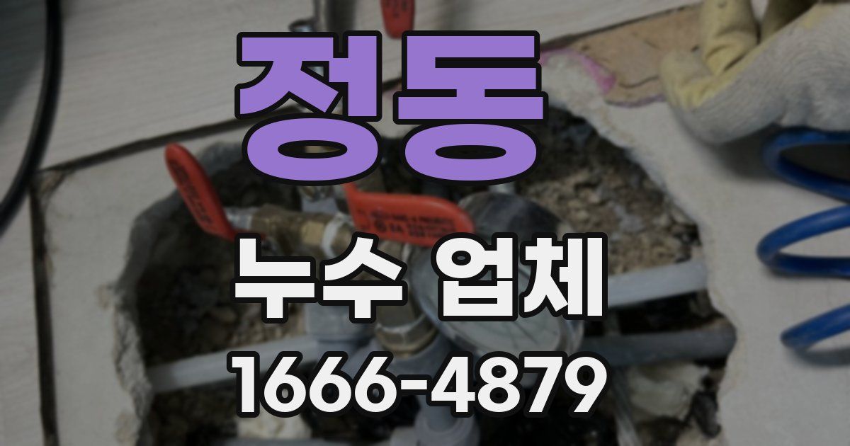 정동 누수 업체