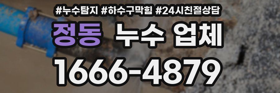 정동 누수 업체