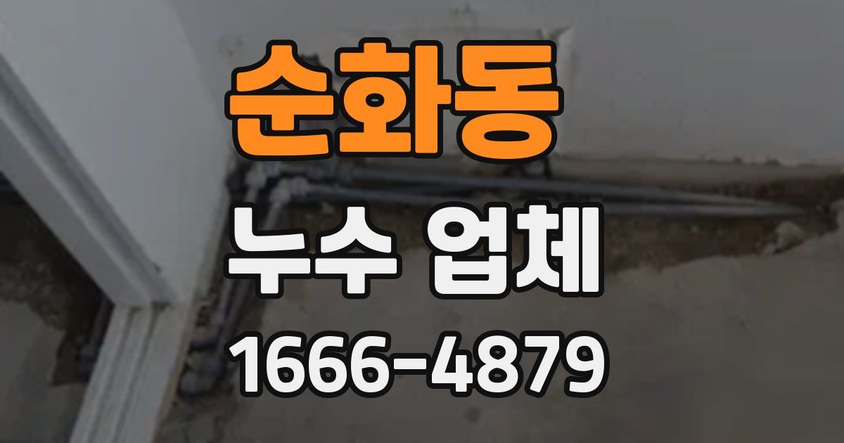 순화동 누수 업체