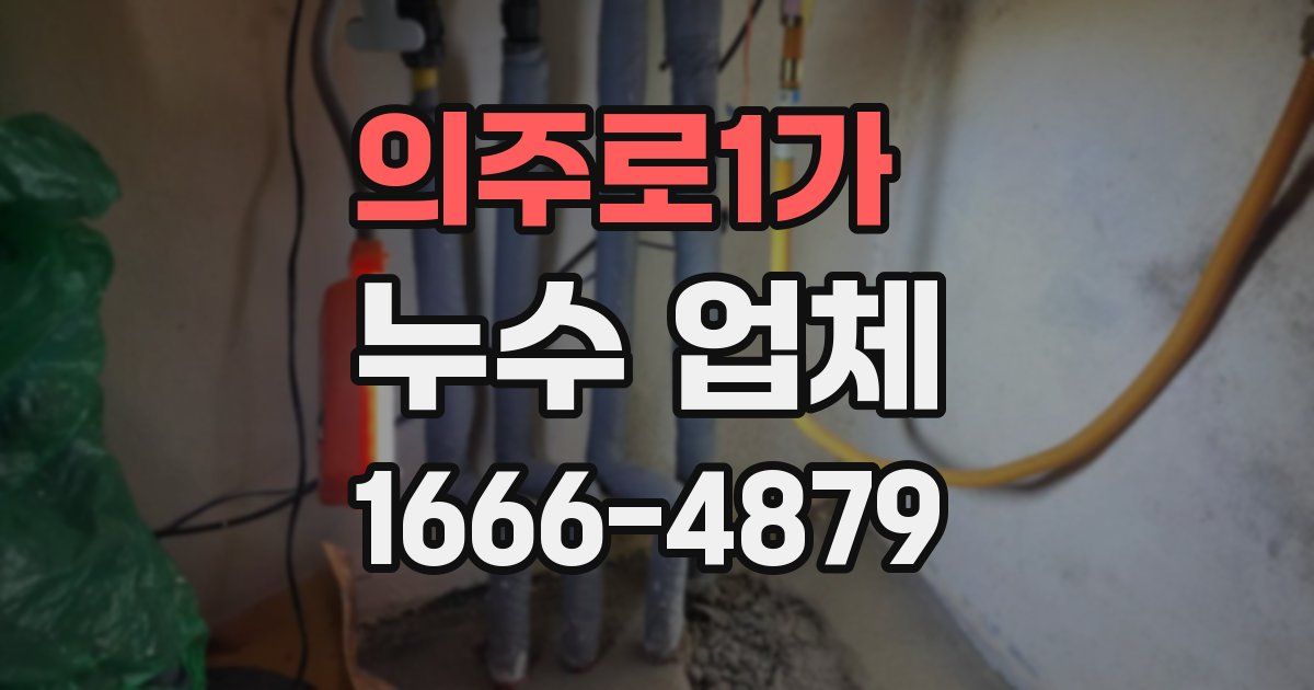 의주로1가 누수 업체